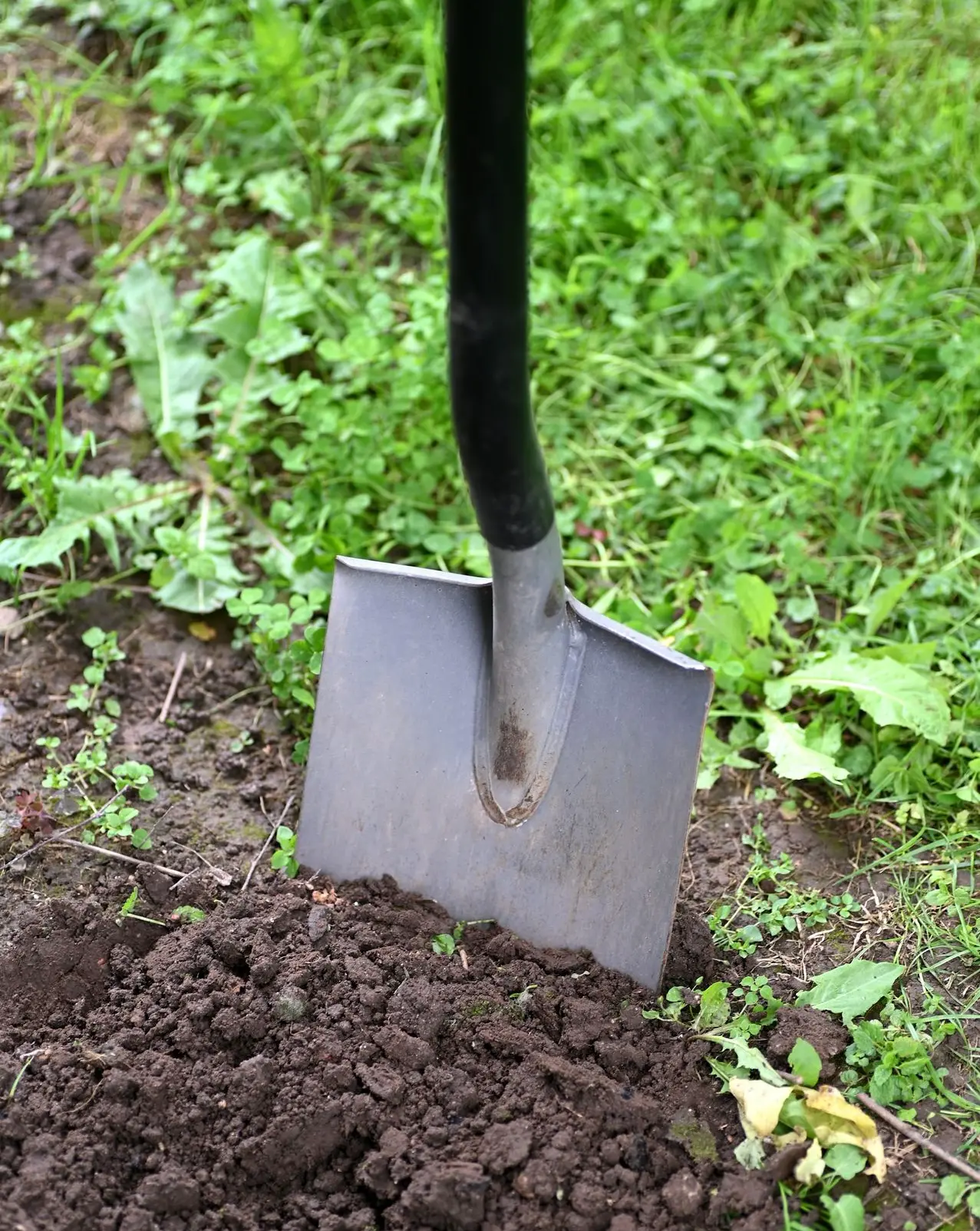 black and brown shovel on green grass
