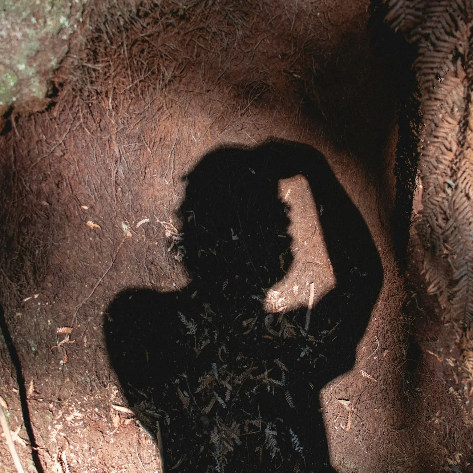 shadow of person on brown sand